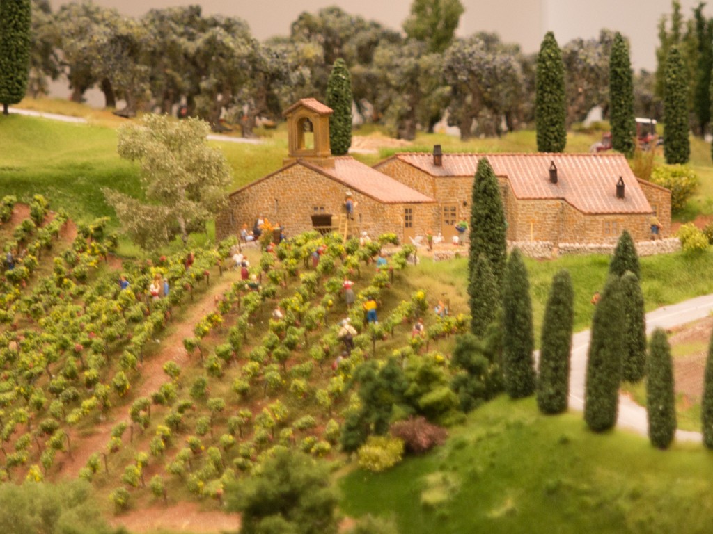Viele kleine Preiserlein bevölkern mittlerweile die Weinberge der Toskana.